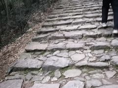 -仙霞关景区