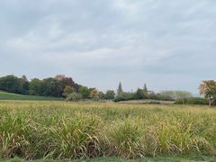 -良渚古城遗址公园