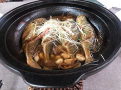 -有喜胶东小馆(太申祥和店)