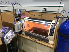 -瑞派宠物医院·中兽医专科(中央商城分院)