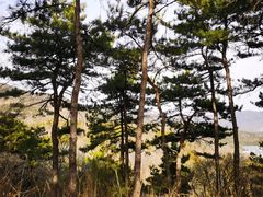 -北京西山国家森林公园