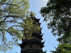 -红梅公园