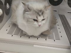 -FAELING PETS美天灵宠物(富力广场店)