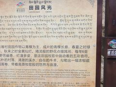 -米堆冰川
