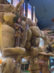 -卡通尼·Safari非洲探索乐园·生日会(金桥国际商业广场店)