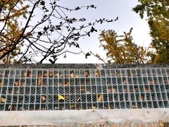 -大宁灵石公园西门票处