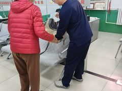 -利又安动物医院··老年病·猫科犬科·中兽医