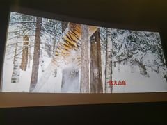 -万达影城(大明宫万达广场IMAX店)