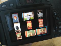 -猫咪博物馆(顶澳仔猫街店)