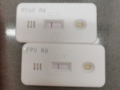 -爱侣宠医·鹦鹉专科·小型哺乳类·异宠专科(灵石路店)