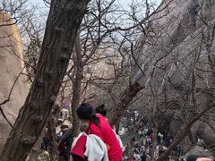 -嵖岈山风景区