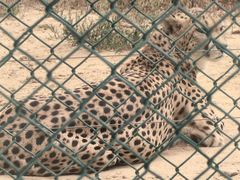 -鄂尔多斯野生动物园