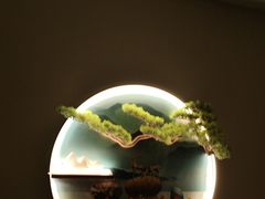 -耳域躺式采耳SPA馆(新街口店)