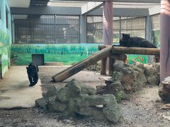 -昆明动物园