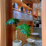 一杯潮茶——莆田南门店