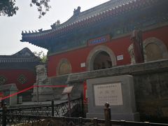 -大觉寺-停车场