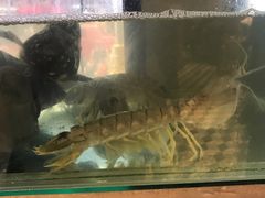 -泰华海鲜中餐厅(普吉镇店)