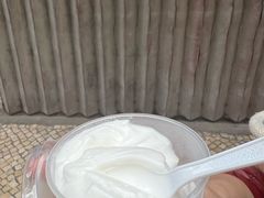 -洪馨椰子
