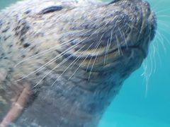 -青岛海底世界-水族馆