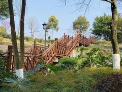 -大渡口区义渡公园