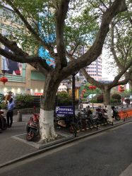 -MIVI野生眉纹绣纹眉