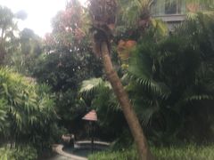 -汇雅温泉