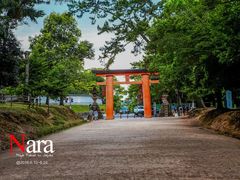 -奈良公园