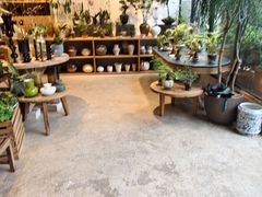 -自由生长植物工作室(深港花卉中心店)