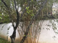 -成都杜甫草堂博物馆