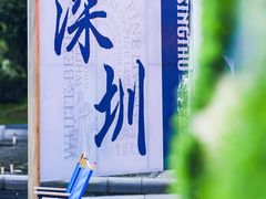 -深圳龙华星河COCO City(民治店)