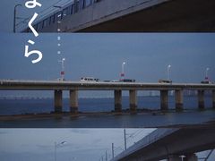 -海堤纪念公园