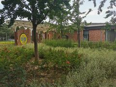 -大兴滨河森林公园