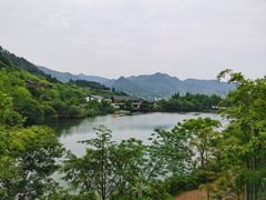 -芳草地度假酒店·野炉中餐厅