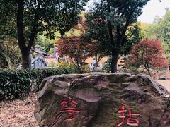 -穹窿山景区