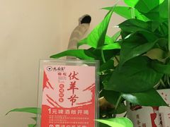 -九府羊鲜羊火锅·烧烤(任丘东风美食街店)