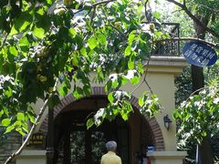 -天鹅湖生态旅游风景区