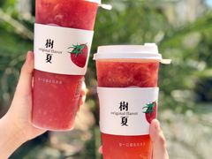 草莓多肉-树夏(金楠天街店)