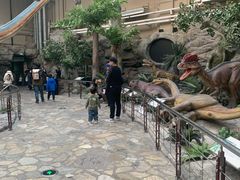 -国家自然博物馆