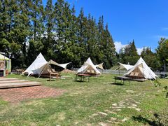 -前小桔亲子创意农场·草莓采摘·露营烧烤