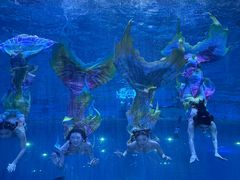 -华夏文旅海洋公园