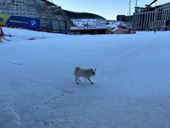 -翠云山银河滑雪场