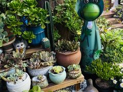 -杨厝六十六农庄农舍(杨厝路店)