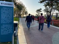 -莫子山公园