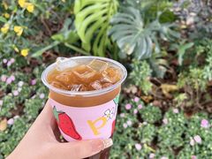 -PAIX COFFEE(海心沙店)