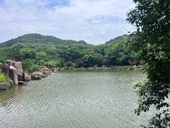 -白马涧龙池景区
