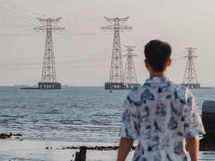 -宝安西湾红树林湿地公园