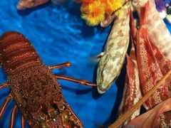 -盒马鲜生(莱蒙都会店)