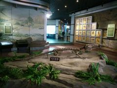 景点-自贡恐龙博物馆