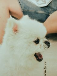 -瞳摄影写真旗舰店