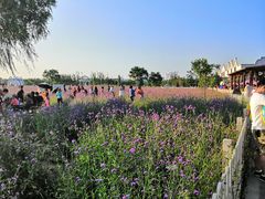 -渔岛海洋度假区